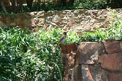 0018-Reis Zuid-Afrika2007